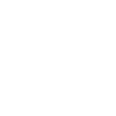 Operational Challenges 